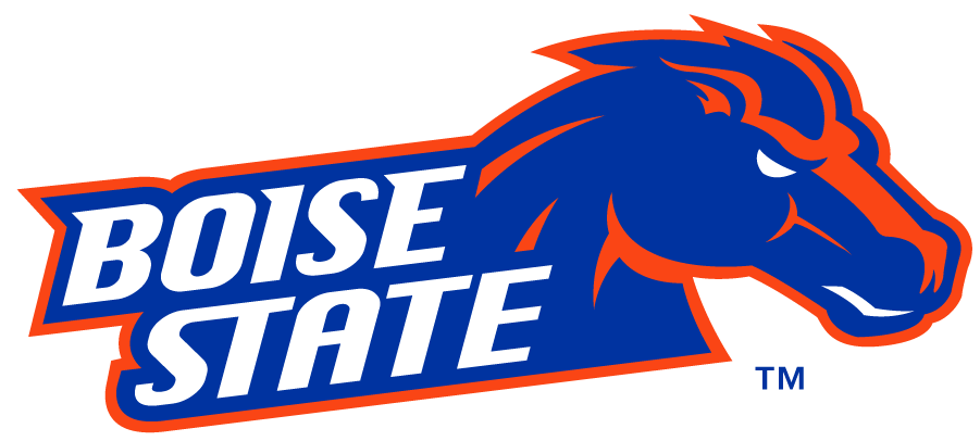 Boise State Broncos 2012-2013 Secondary Logo diy DTF decal sticker